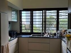 Pandan Valley (D21), Condominium #511003791